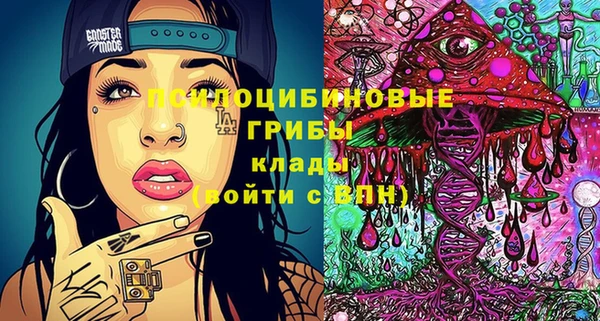 эйфоретик Каменка