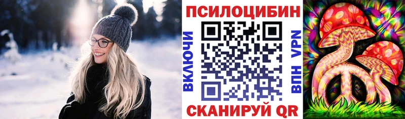 Псилоцибиновые грибы Psilocybe Купить Ельня